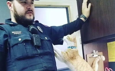  猫咪趣事|当猫咪进入警局，立马成了一道亮丽的风景线 